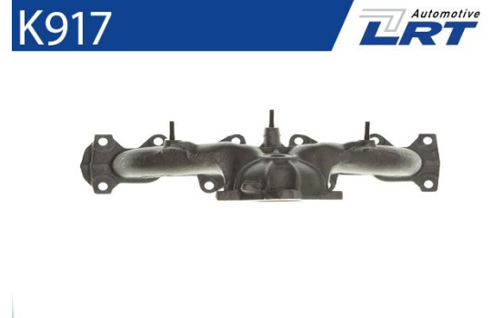 Manifold, exhaust system