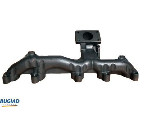 Manifold, exhaust system