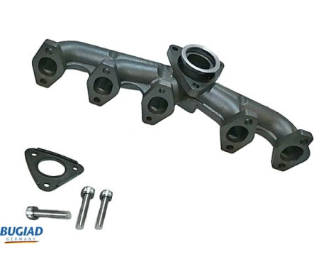Manifold, exhaust system