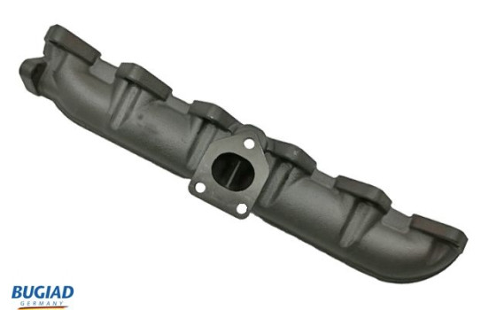 Manifold, exhaust system