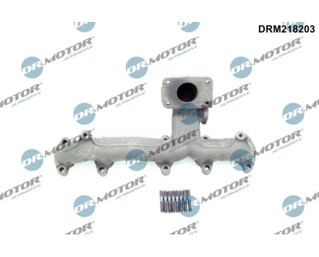 Manifold, exhaust system