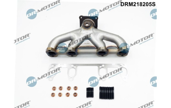Manifold, exhaust system