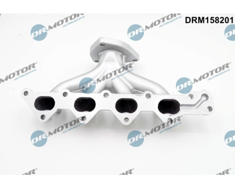 Manifold, exhaust system