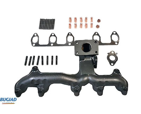 Manifold, exhaust system