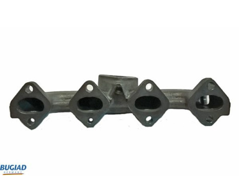 Manifold, exhaust system