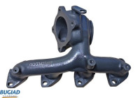 Manifold, exhaust system