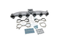 Manifold, exhaust system