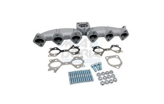 Manifold, exhaust system