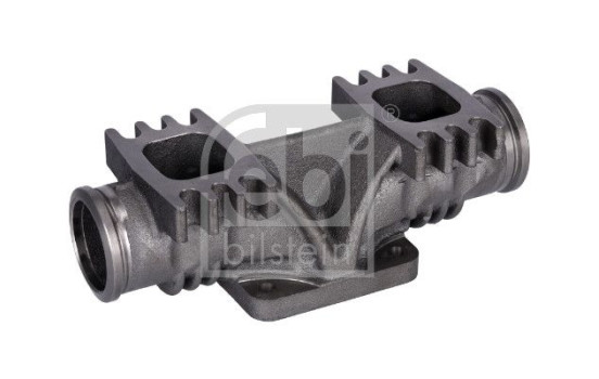 Manifold, exhaust system