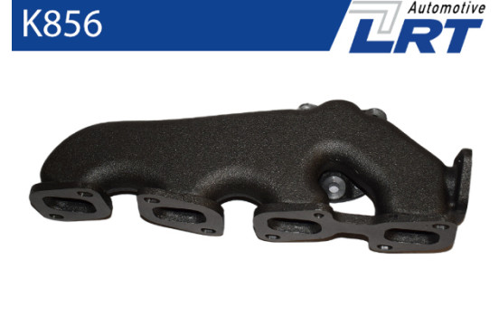 Manifold, exhaust system