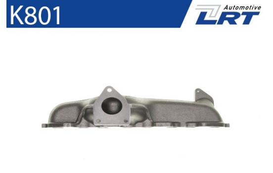 Manifold