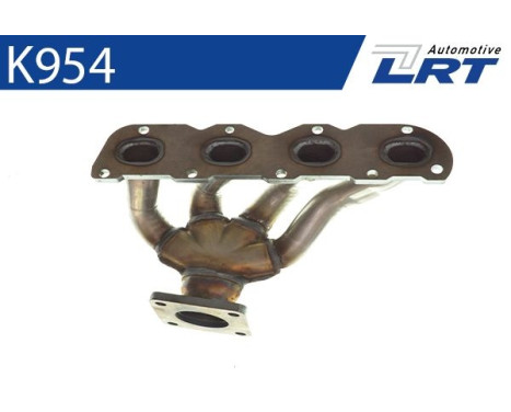Manifold