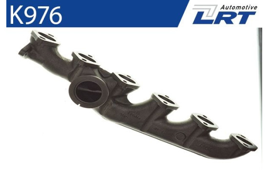 Manifold