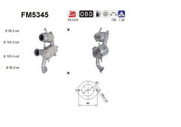 Diesel particulate filter FM5345 AS