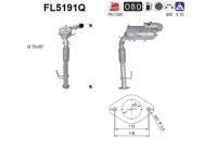 Particulate filter, exhaust system FL5191Q AS