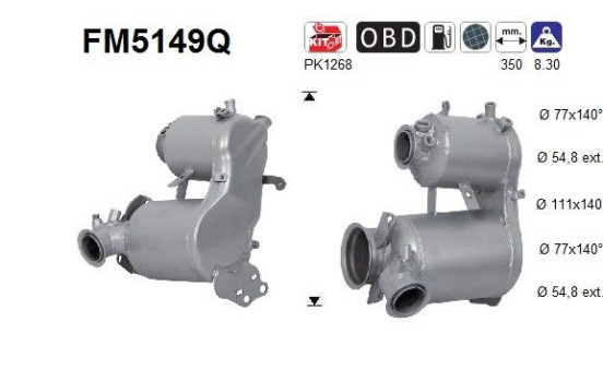 Particulate filter, exhaust system FM5149Q AS