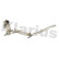 Soot/Particulate Filter, exhaust system 390233 Klarius