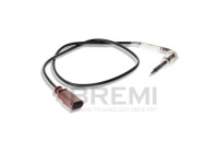 Exhaust gas temperature sensor