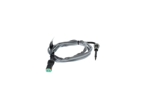 Exhaust gas temperature sensor