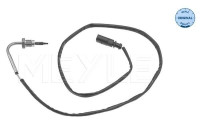 Exhaust gas temperature sensor