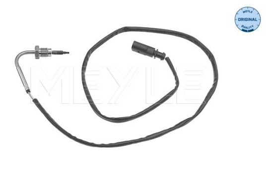 Exhaust gas temperature sensor