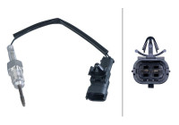 Exhaust gas temperature sensor