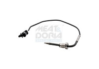Exhaust gas temperature sensor
