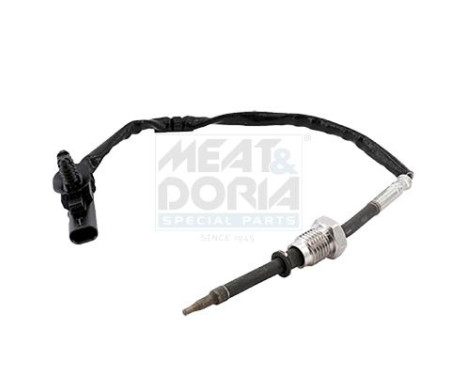 Exhaust gas temperature sensor