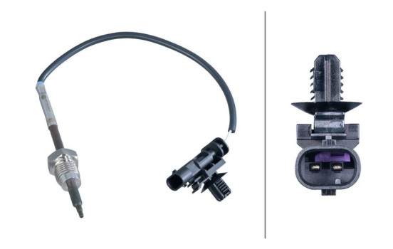 Exhaust gas temperature sensor