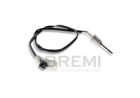 Exhaust gas temperature sensor
