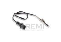 Exhaust gas temperature sensor