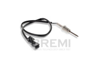 Exhaust gas temperature sensor