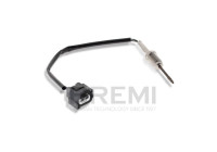 Exhaust gas temperature sensor