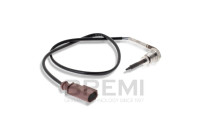 Exhaust gas temperature sensor