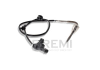 Exhaust gas temperature sensor