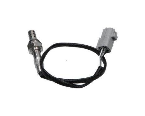 Lambda probe, Image 3