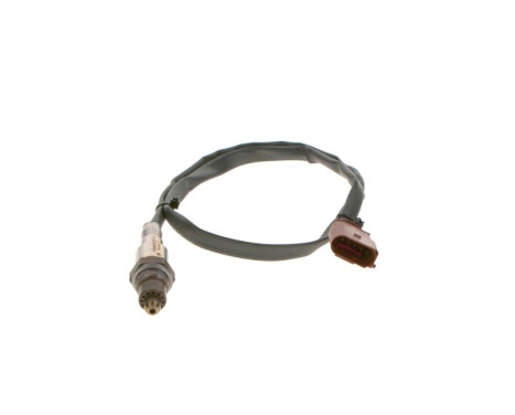 Lambda probe, Image 2