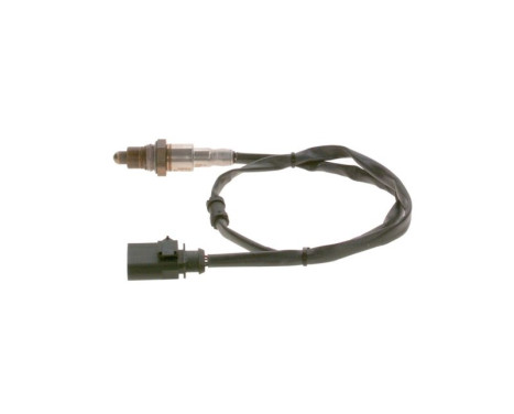 Lambda probe, Image 3