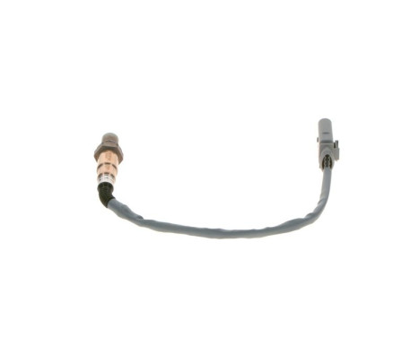 Lambda probe, Image 4