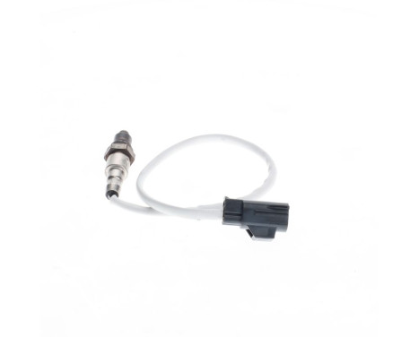 Lambda probe, Image 3