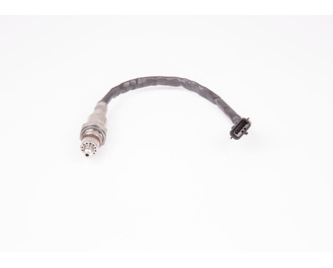 Lambda probe, Image 2