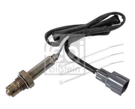 lambda probe, Image 2