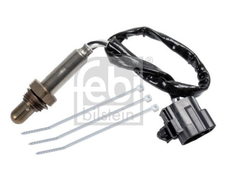 lambda probe, Image 2