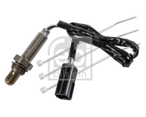 lambda probe, Image 2