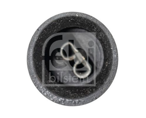 lambda probe, Image 2