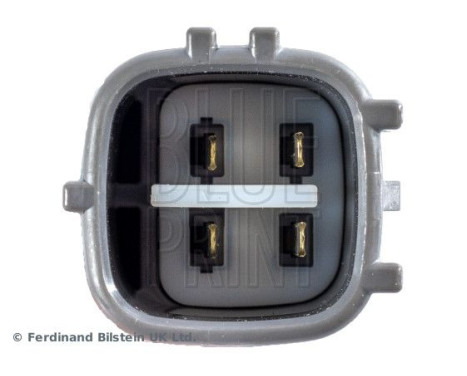 lambda probe, Image 2