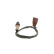 Lambda Sensor, Thumbnail 4