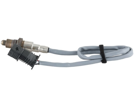 Lambda sensor, Image 2