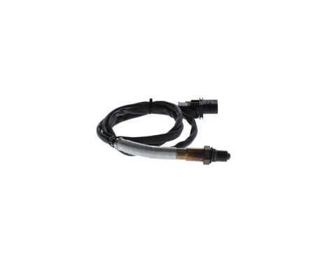 Lambda Sensor, Image 2
