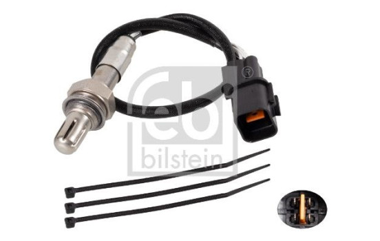 Lambda Sensor, Image 2